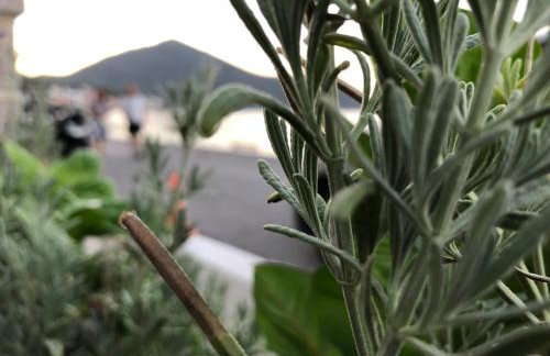 ZEN Minimal Luxury Housing Tyros - Foto 51