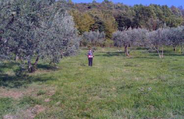 hilltop villa garden with great views - Foto 21