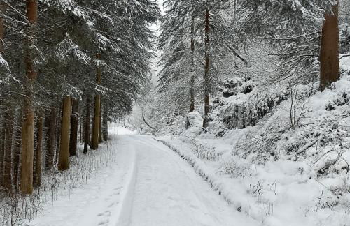 UplandParcs Haus Bergsicht - Photo 78