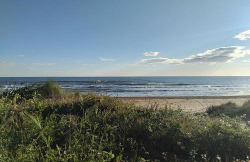 Casa Aigua Blanca Oliva - Photo 24