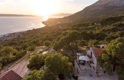 Ivićev san - Foto 2