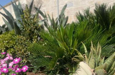 "Lu Barocco" a soli 10 min da Torre Lapillo - Foto 36