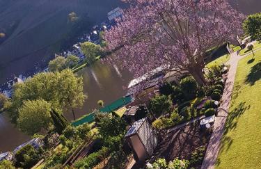 Zum Blauglockenbaum - Foto 4