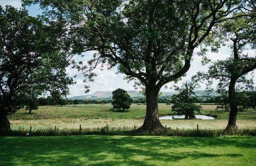 Nash - Bowland Retreat Lodges Clitheroe, Ribble Valley, Lancashire - Foto 16