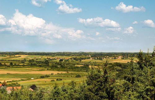 Green Zelina - Foto 25