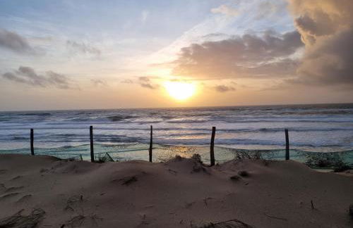 Les Chalets du Golf de Biscarrosse - Photo 50