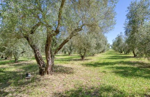 Awesome Home In Ischia Di Castro - Foto 30