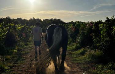 Agriturismo Gli Archi - Foto 42