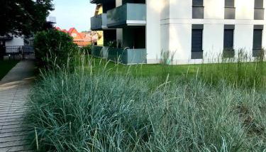 Balticsunset Rewal Apartment "Justi" - Foto 4