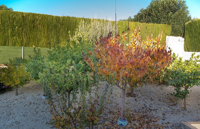 Villa Empedrola - Plaza Mayor - Foto 20