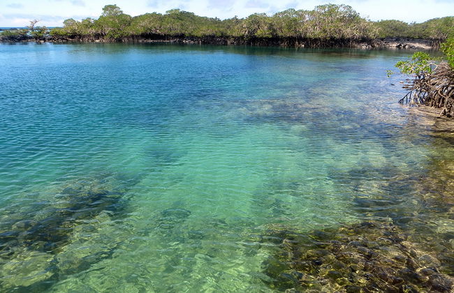 Concha Perla Tour - Foto 2