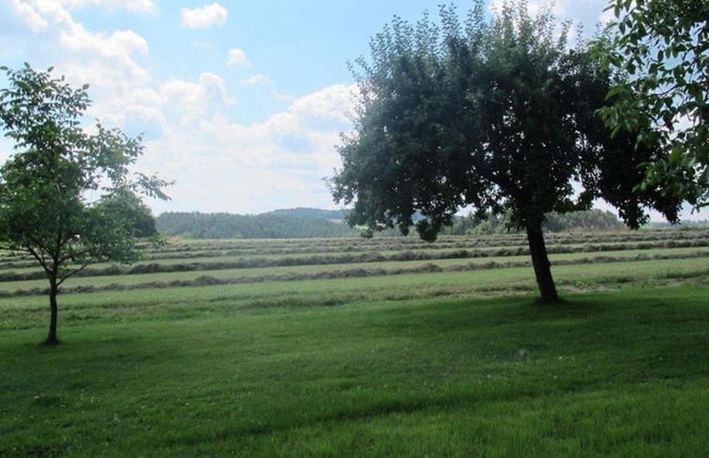 Holiday Home with Garden & Terrace in Bodenwöhr near Hammersee - Foto 23