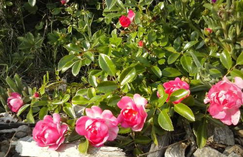 Agriturismo Valiana - Foto 69