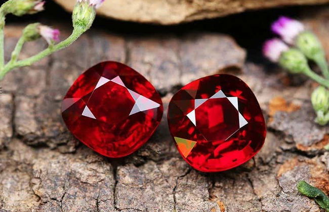 Alquiler de coche con conductor en Colombo - Foto 9