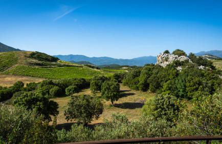 Résidences Canta Furmigula - Foto 41