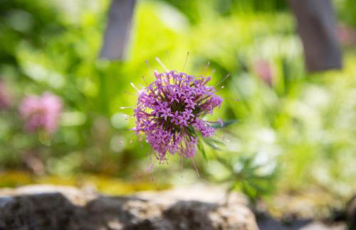 Kulturdenkmal Umgebinde1657 - Foto 28
