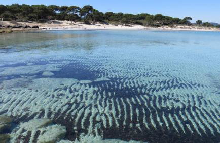 Spacious Villa close to an amazing Sithonia beach - Foto 71