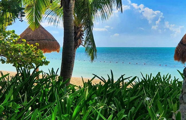 Isla Contoy e Isla Mujeres Tour saindo de Cancún - Foto 30