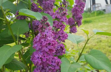 Gandelinka Park Kędrzyno - Foto 21