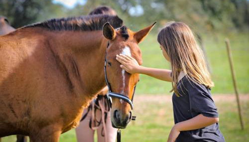 Sesmarias Turismo Rural & SPA - Foto 4