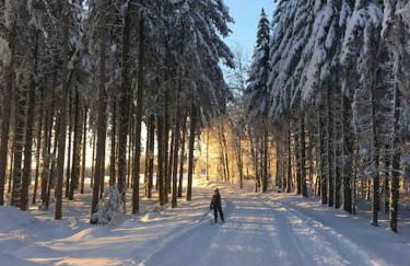 Ferme de ma Grand-Mère - Foto 16