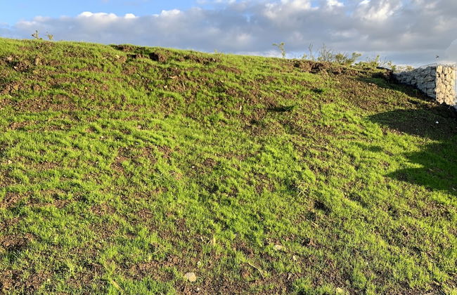 Cosy Escape Heated Luxury pod and hot tub - Foto 18