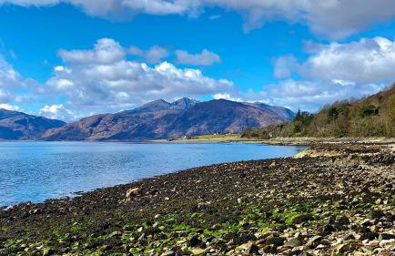 Glenrigh House - Main Residence for 7 people - Photo 57