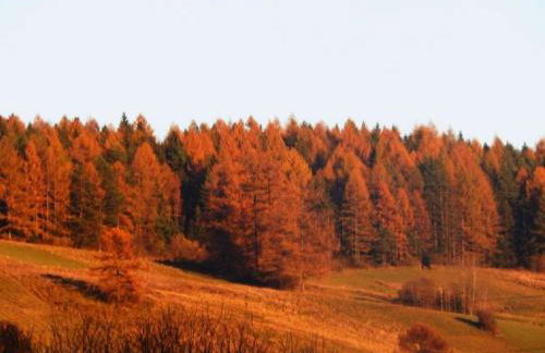 Caloroczne Domki w Gorach"ALEKSANDER" - Foto 45