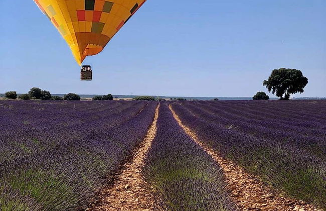 Paseo en globo por los campos de lavanda de Brihuega - Foto 4