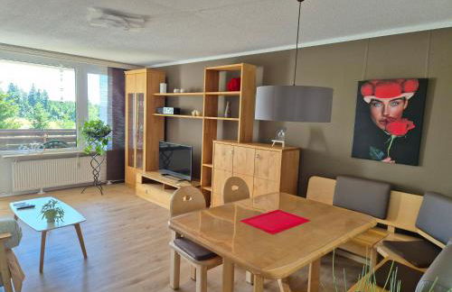 FeWo Schwarzwald von oben - Kniebis - Foto 6