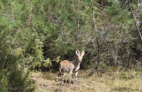Alojamiento Rural Casa Inocente - Foto 56