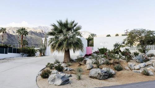 The Pink Paloma - A Barbie Inspired Villa in Palm Springs - Foto 5