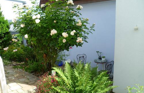 Straussi´s Loft - Foto 8