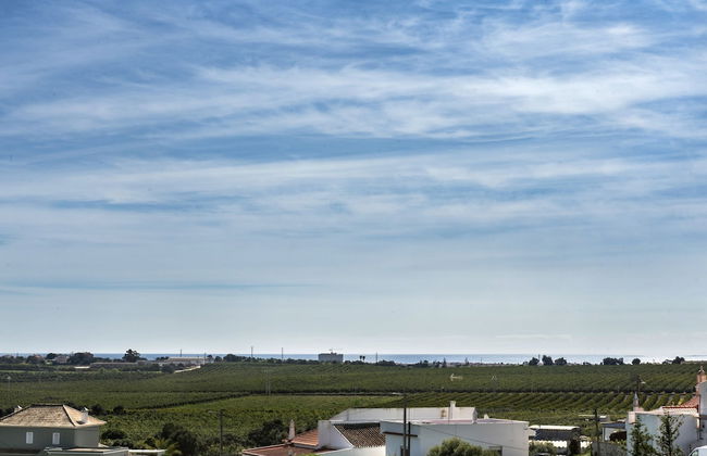 Quinta dos Medronheiros - Foto 39