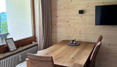 Ferienwohnung Aigisblick mit Pool und Sauna, direkt am Skihang - Foto 2