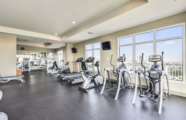 Emerald 907 - Foto 18