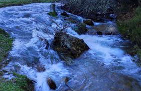 Abuela Carmen - Foto 37