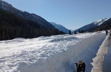 Anna Apartment 5 - Foto 15