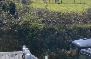 Mollys Retreat pet friendly three bed caravan with small garden Newquay Bay Resort Quieter area of park - Foto 27