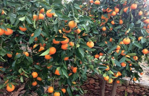 Apartment Pilatus Ošljak - Photo 21