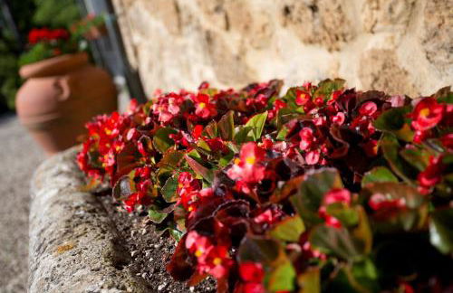 Agriturismo San Galgano - Foto 40