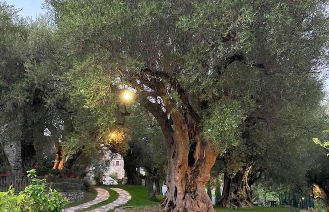 Pie' d'Ulivo - Foto 1
