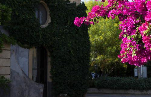 Tenuta del Gelso - Foto 41