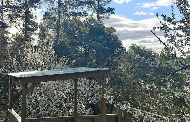 Sutton Spring Art Retreats - Foto 1