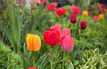 Ferienwohnung am Inn - Foto 23