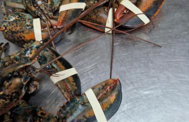 Hotel Perda Rubia - Foto 66