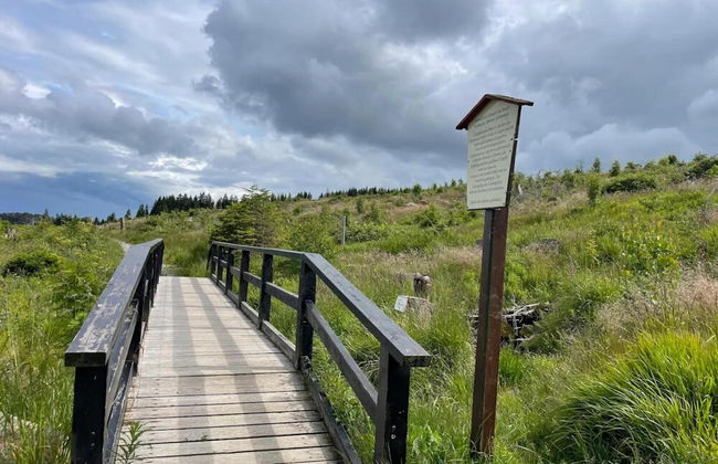 Ferienhaus in Schierke for 8 Personen - Photo 33
