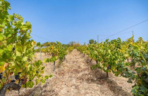 Quinta do Quartel - Foto 46