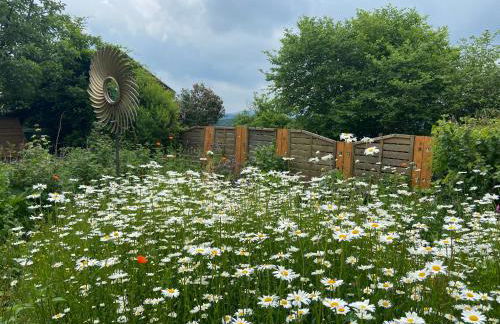 Gästehaus Natur - Auszeit - Foto 1