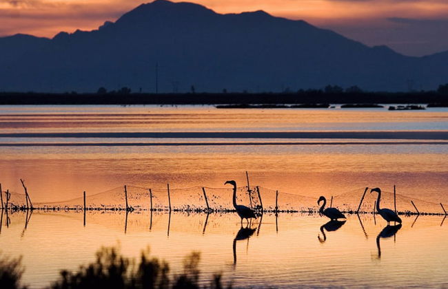 Apartamento Salamanca 10 - Foto 43